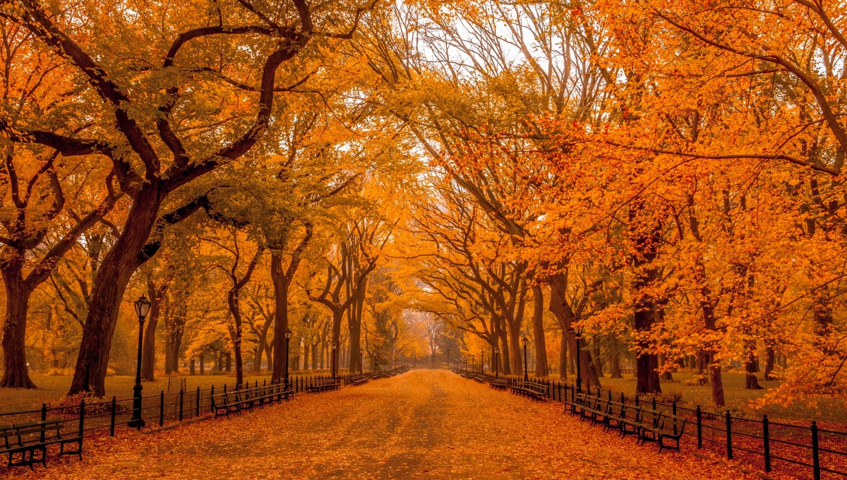 Теплая погода установится на большей части России, кроме Дальнего Востока