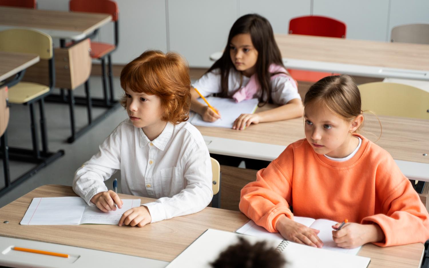 В России за год открыли 155 новых школ