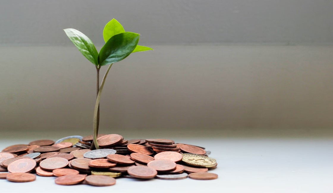 Новый онлайн-сервис упростит получение микрозаймов для малого и среднего бизнеса