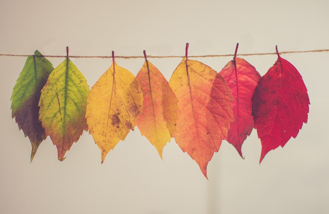 Несколько регионов России ждет аномально теплая погода в конце октября