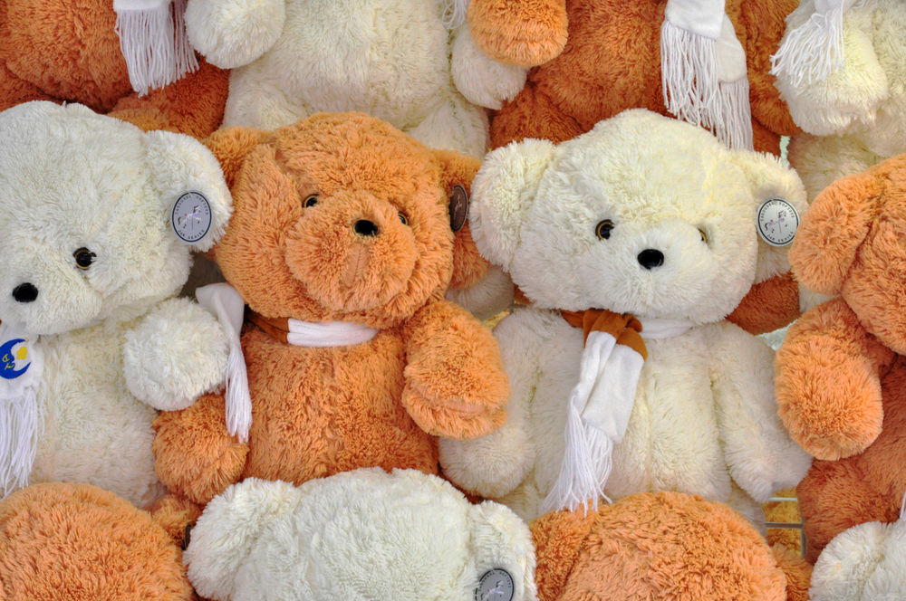 Выставка плюшевых мишек открылась в Дарвиновском музее Москвы